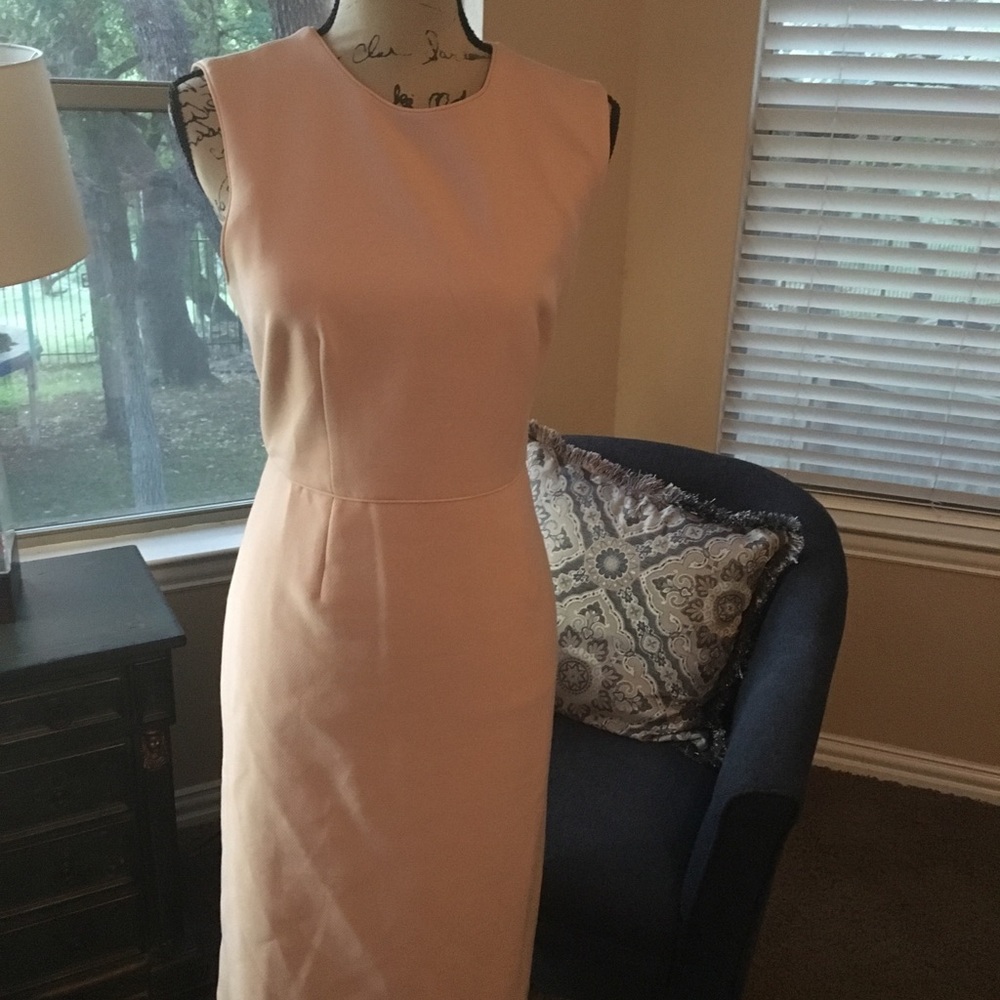 Ann Taylor Soft Pink Dress Size 8